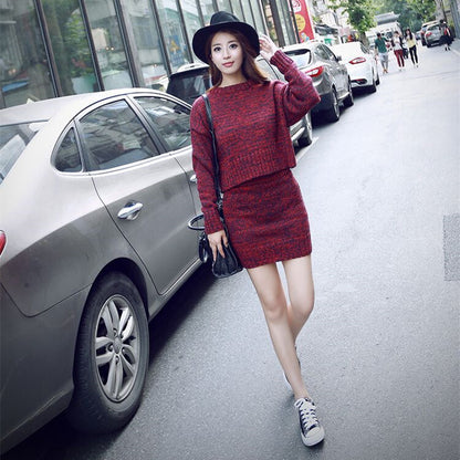 Sexy Knitted Two Pieces  Sheath Dresses