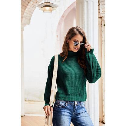 Casual High Neck Knitted Long Sleeves Sweaters