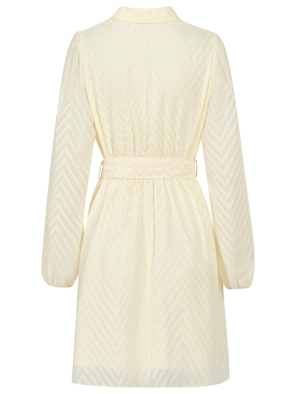 Fashion V Neck Long Sleeves Short Dresses