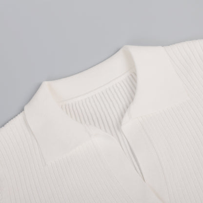 Sexy Polo Neck Knitted Pullover Sweaters
