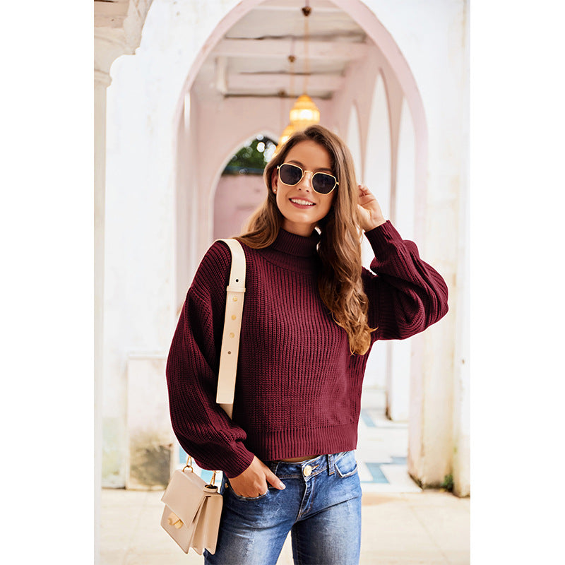Casual High Neck Knitted Long Sleeves Sweaters