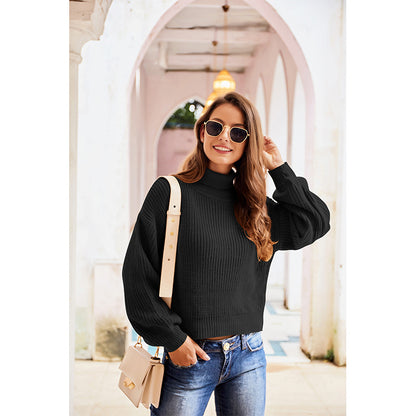 Casual High Neck Knitted Long Sleeves Sweaters