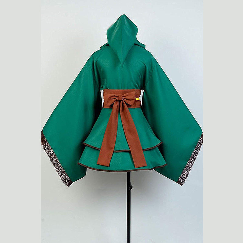 The Legend of Zelda Link Cosplay Costume 9717