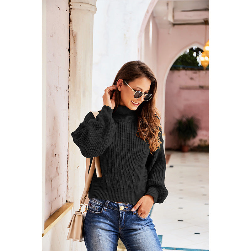 Casual High Neck Knitted Long Sleeves Sweaters
