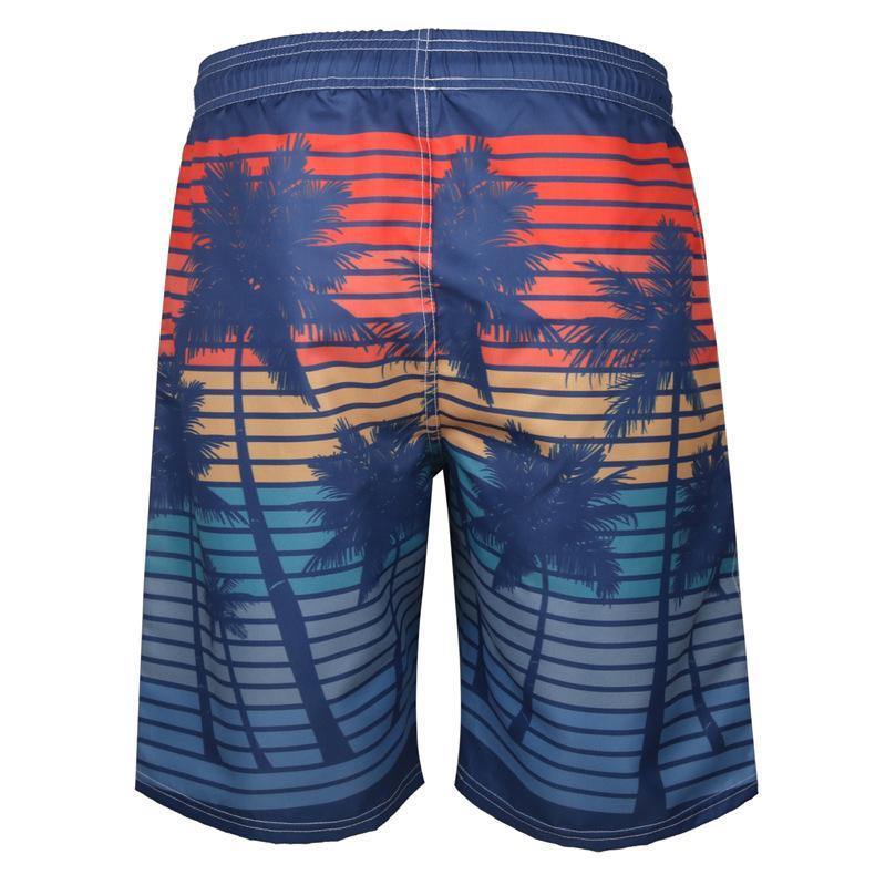 Men's Summer Beach 3D Pint Quick Dry Shorts-STYLEGOING