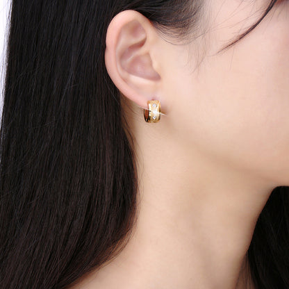 Stainless Steel Women Hook Earrings