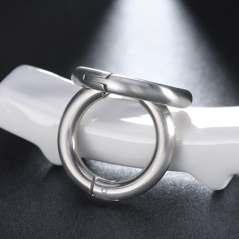 Stainless Steel Round Hook Earrings for Women