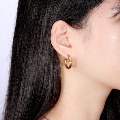 Stainless Steel Round Hook Earrings for Women
