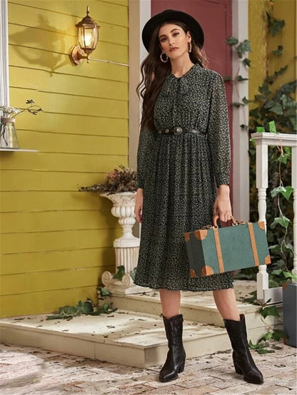 Women Chiffon Elegant Long Sleeves Fall Dresses