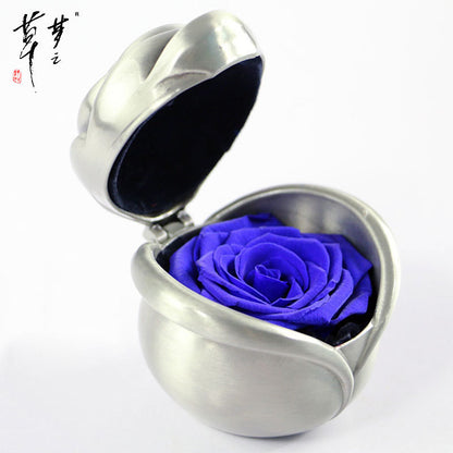 Preserved Rose Flowers for Valentine's Gifts