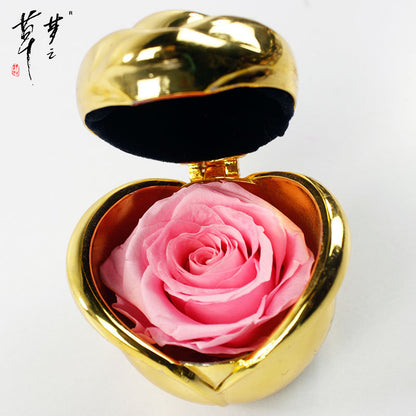 Preserved Rose Flowers for Valentine's Gifts