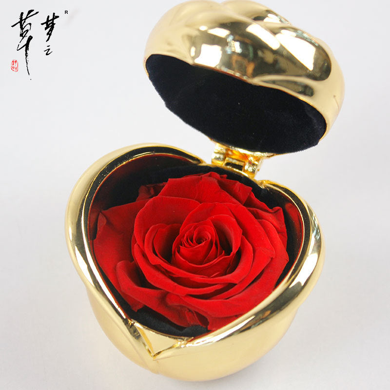 Preserved Rose Flowers for Valentine's Gifts