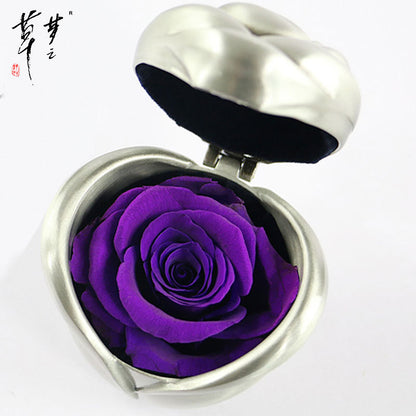 Preserved Rose Flowers for Valentine's Gifts