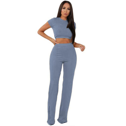 Leisure Elastic Two Pieces Women Outfits-STYLEGOING