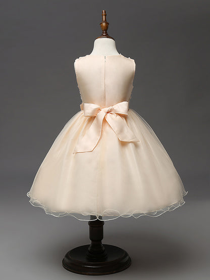 3D Rose Flower Princess Girls Dresses