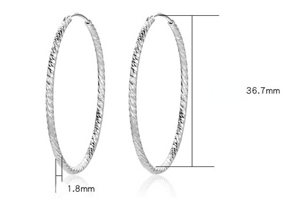 Fashion Sterling Silver Hoop Earrings for Women