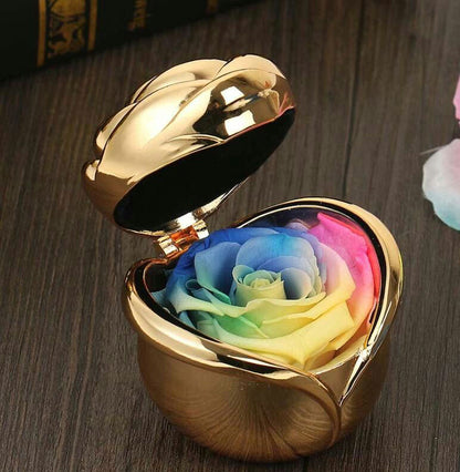 Preserved Rose Flowers for Valentine's Gifts