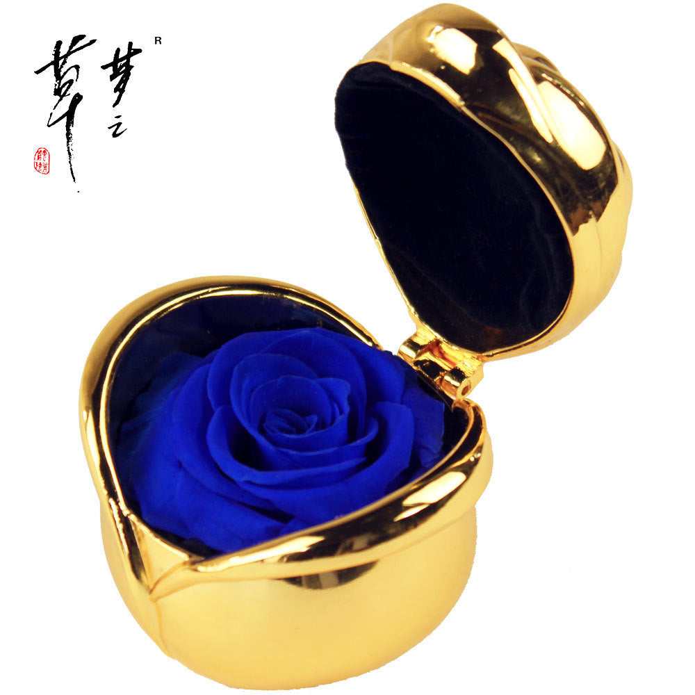Preserved Rose Flowers for Valentine's Gifts