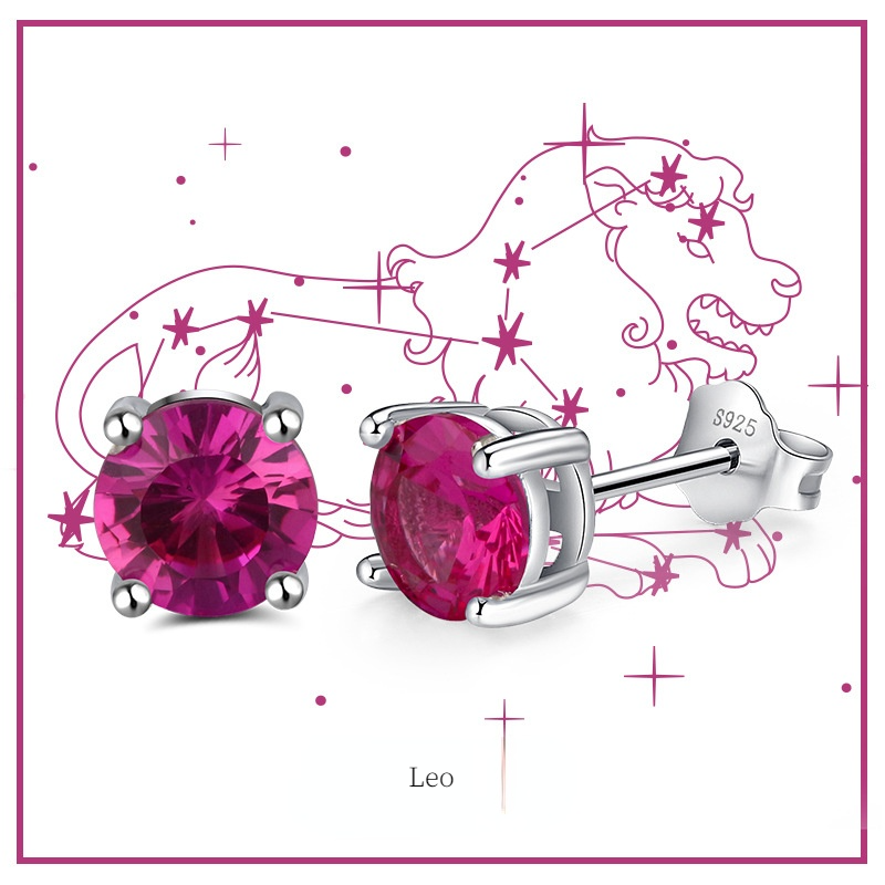Fashion Sterling Silver Twelve Constellation Earring Studs