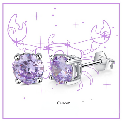 Fashion Sterling Silver Twelve Constellation Earring Studs