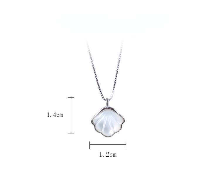 Sterling Sliver Lifetime Shell Jewelry Sets