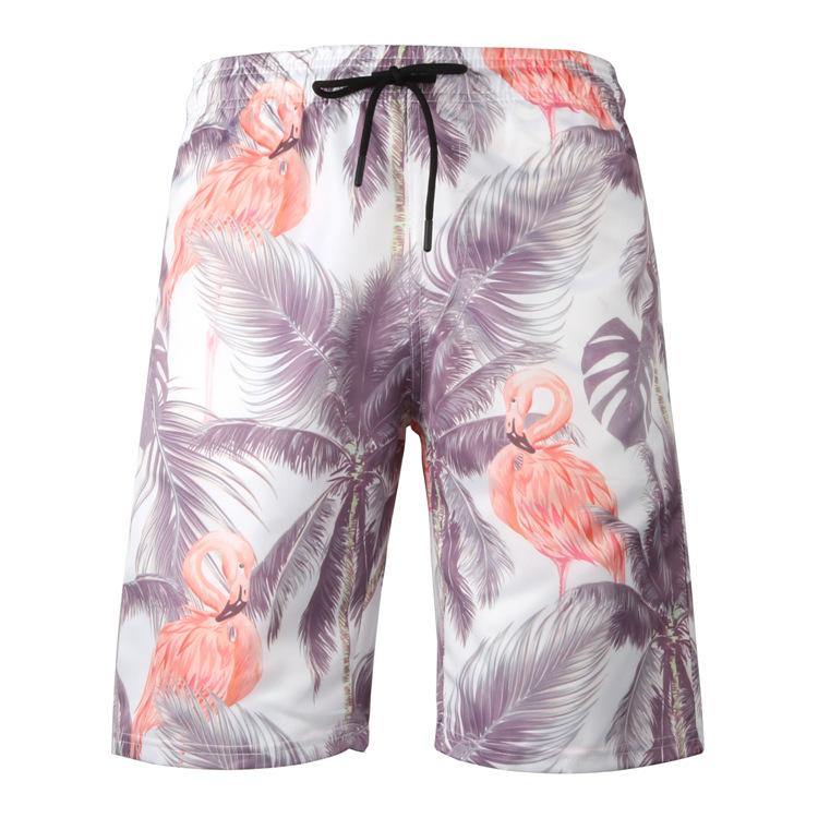 Men's Sumer Beach Quick Dry Clorful Shorts-STYLEGOING