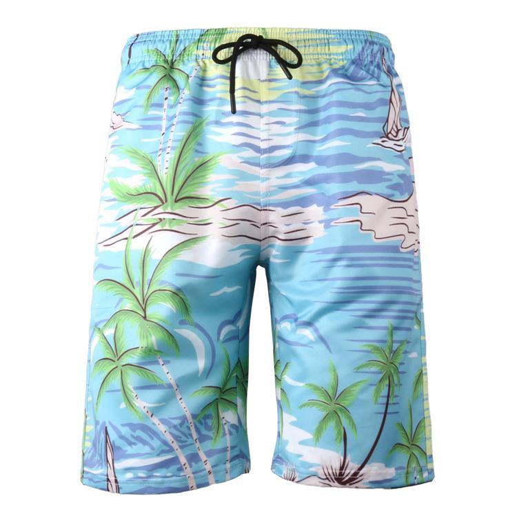 Men's Sumer Beach Quick Dry Clorful Shorts-STYLEGOING