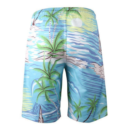 Men's Sumer Beach Quick Dry Clorful Shorts-STYLEGOING