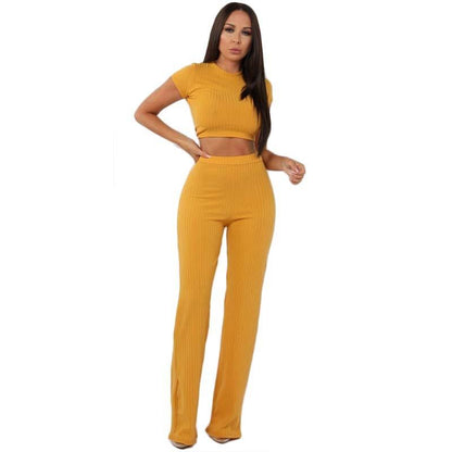Leisure Elastic Two Pieces Women Outfits-STYLEGOING