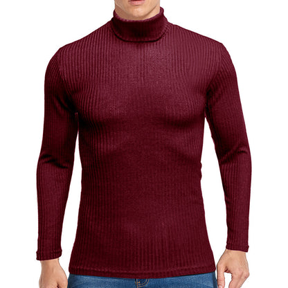 Fall Turtleneck Long Sleeves Knitted Sweaters