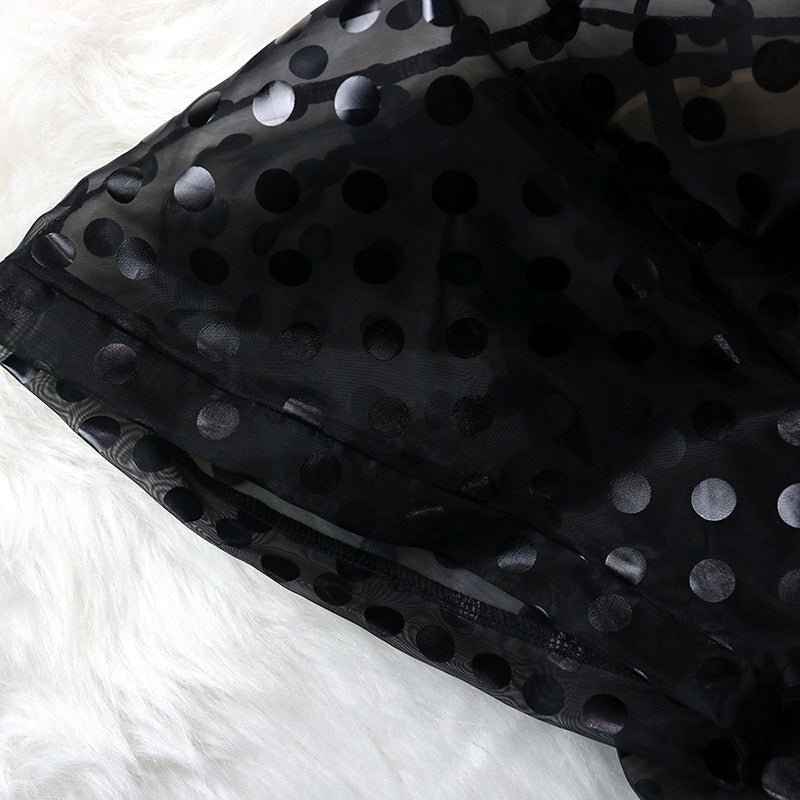 See Through Organza Casual Two Pieces Black Mini Dresses