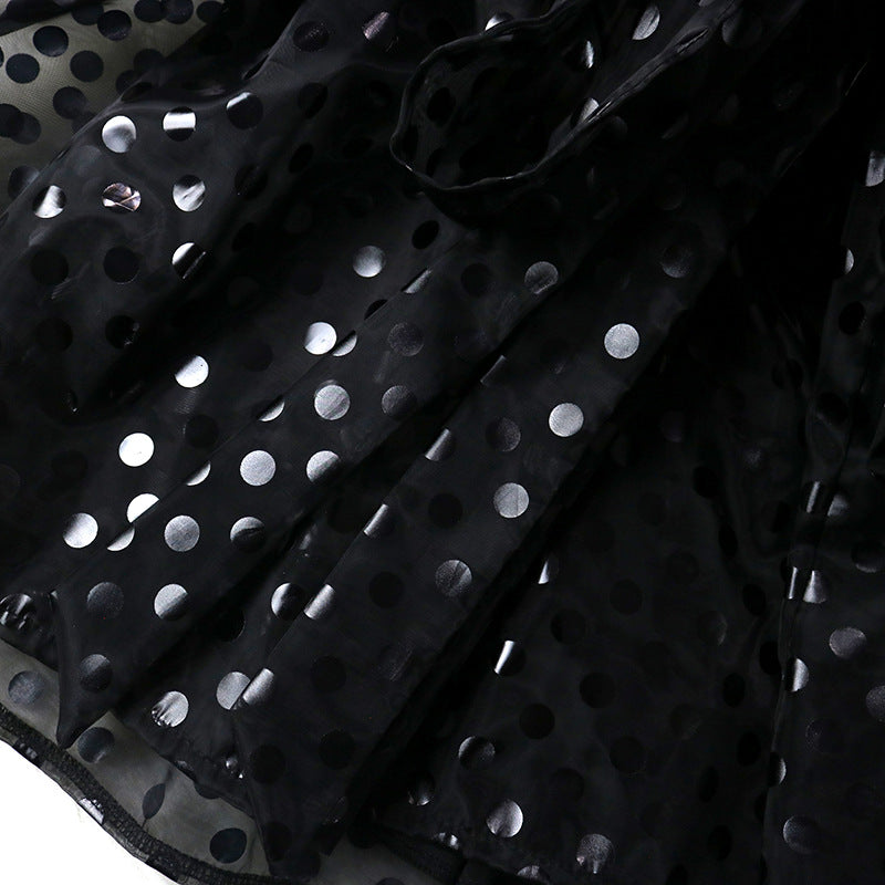 See Through Organza Casual Two Pieces Black Mini Dresses