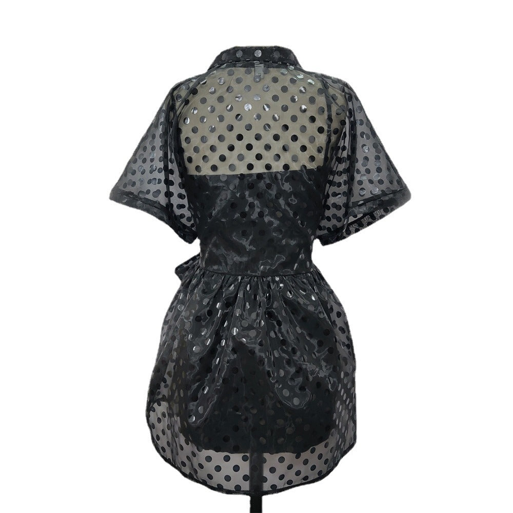 See Through Organza Casual Two Pieces Black Mini Dresses