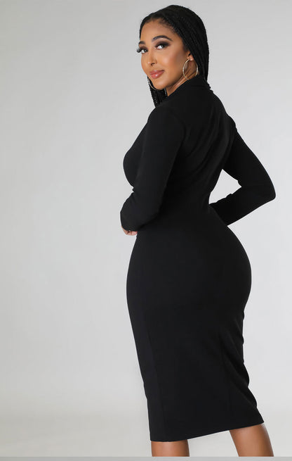 Sexy Long Sleeves Sheath Dresses for Women