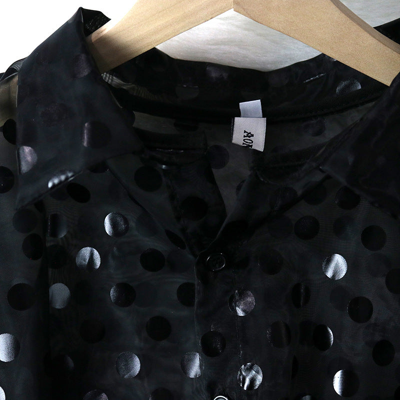 See Through Organza Casual Two Pieces Black Mini Dresses