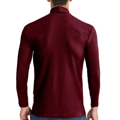 Fall Turtleneck Long Sleeves Knitted Sweaters