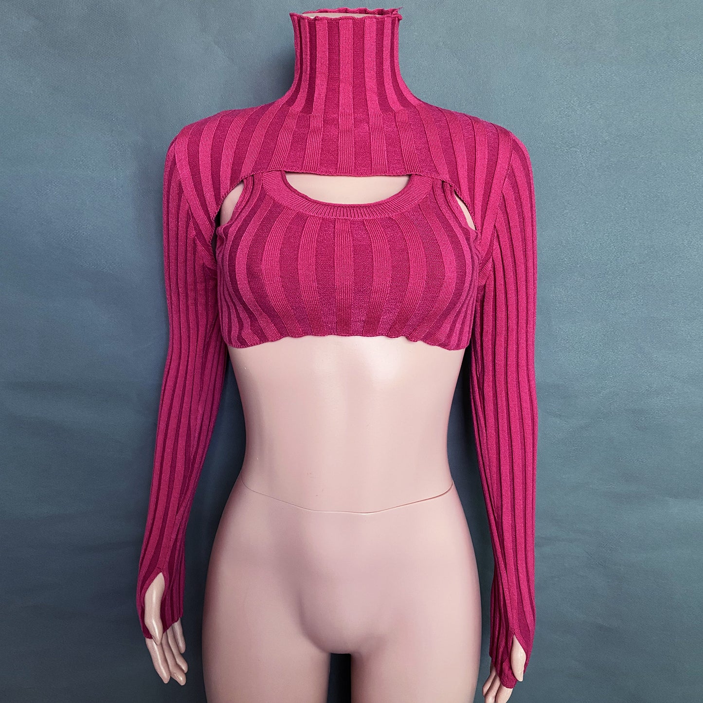 Sexy High Neck Knitting Women Short Tops Suits