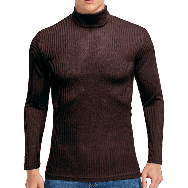 Fall Turtleneck Long Sleeves Knitted Sweaters