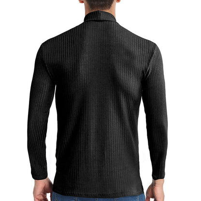 Fall Turtleneck Long Sleeves Knitted Sweaters