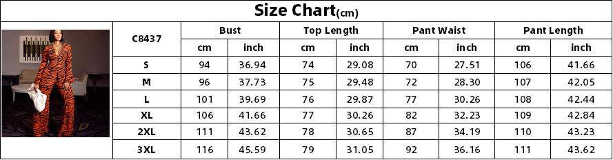Sexy Leopard Plus Sizes Two Pieces Fall Suits