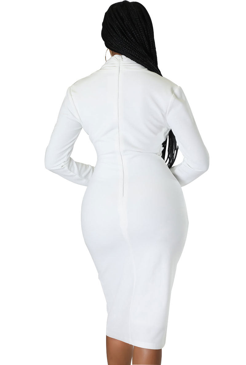 Sexy Long Sleeves Sheath Dresses for Women