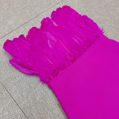 Sexy Designed Feather Sheath Evening Party Dresses