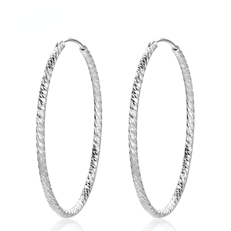 Fashion Sterling Silver Hoop Earrings for Women