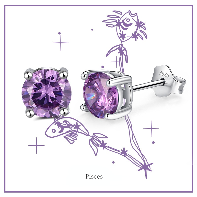 Fashion Sterling Silver Twelve Constellation Earring Studs
